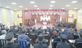 临颍新闻爆料事件,真相与舆论的交织