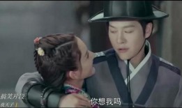 夜天子电视剧在线观看,揭秘古代江湖传奇，在线观看尽享悬疑之旅