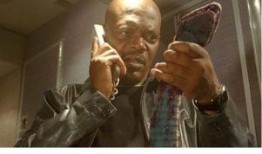 航班蛇患在线观看,空中惊魂，揭秘神秘蛇患危机