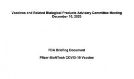 美国辉瑞爆料最新消息,揭示疫苗研发关键进展与潜在影响