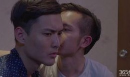 同居指南在线观看,揭秘现代情侣生活必备攻略