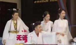 爆料杨紫黄子韬视频,幕后真相引热议