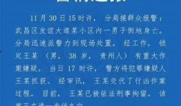 武汉教师爆料视频播放大全,揭秘教育行业背后真相