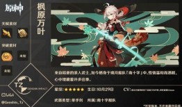 元神稻妻最新爆料,元神稻妻最新爆料深度解析