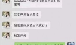 辰飞爆料聊天记录视频在线观看,揭秘幕后真相
