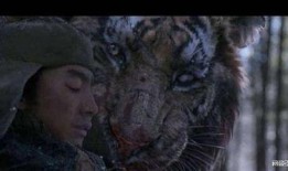 最新爆料斩虎事件视频,惊心动魄的生死较量