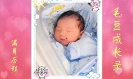 满月在线观看,揭秘神秘月圆奇遇记