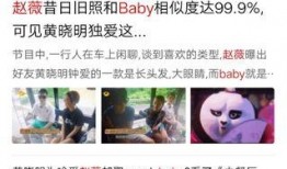 扒叔娱记爆料视频下载安装,视频下载安装全攻略，轻松上手！