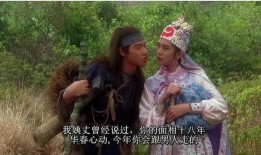 东成西就国语在线观看,重温经典喜剧的欢乐时光