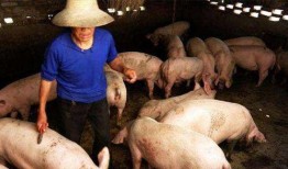 猪密密在线观看伦理