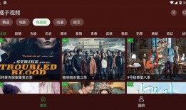 爆料网八卦在线观看视频下载免费,免费观看视频下载，揭秘娱乐圈幕后真相