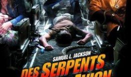 航班蛇患在线观看,空中惊魂，揭秘神秘蛇患危机