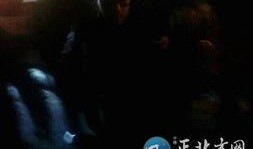 最新爆料斩虎事件视频,惊心动魄的生死较量