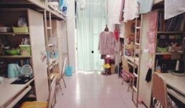 金曜日 寝室在线观看,揭秘寝室里的青春秘密