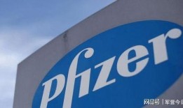 美国辉瑞爆料最新消息,揭示疫苗研发关键进展与潜在影响