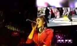 李子柒夜店爆料视频网址,揭秘网红背后的真实生活