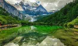 香港火神山爆料视频大全