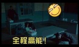 最新爆料斩虎事件视频,惊心动魄的生死较量