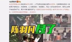 嵩县大事件爆料视频最新,揭秘惊人真相！