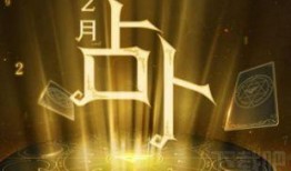 月亮占卜狗仔爆料视频,狗仔爆料视频背后的神秘力量